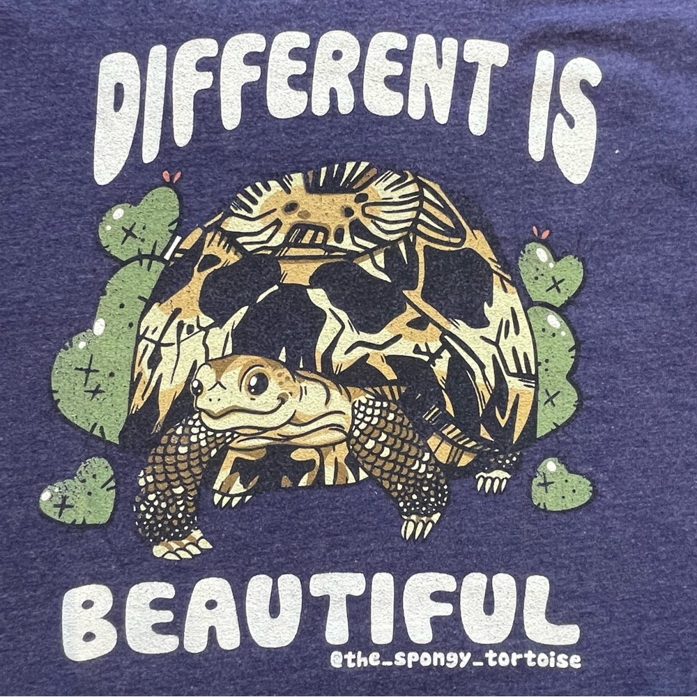 Different is Beautiful tshirt, turtle graphic
